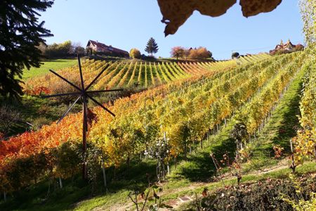 Buschenschank Stoff (vulgo Winklmachl)