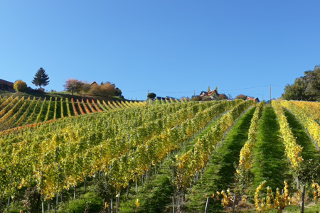 Buschenschank Stoff (vulgo Winklmachl)