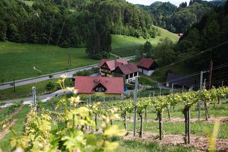 Buschenschank Albrecher