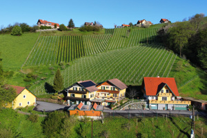 Stoff (vulgo Winklmachl)